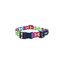 Collar para perro Rogz Fusion – Diseño PopArt (4 tallas), , large indicador imagen numero 3