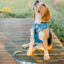 Arn&eacute;s reversible Neo Mesh Popeye para perros color Azul, , large indicador imagen numero 4