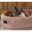 Designed by Lotte Cesta con Coj&iacute;n para gatos, , large indicador imagen numero 3