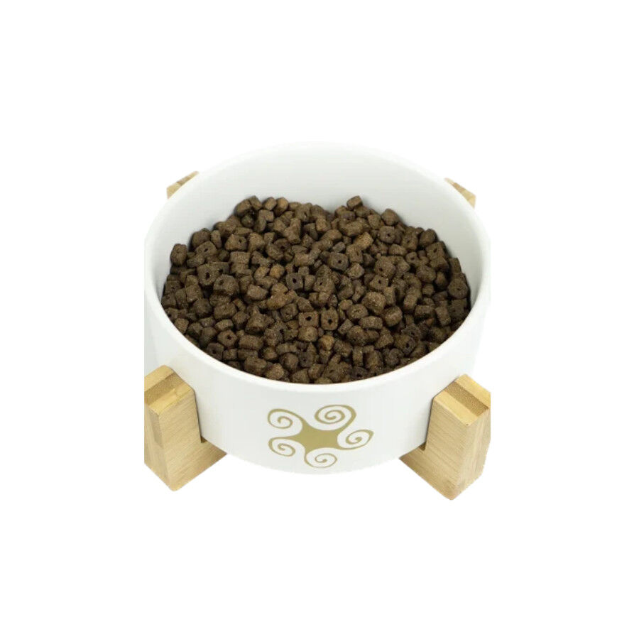 Lenda Original Mini Adult Atlantic Blue Fish pienso para perros thumbnail