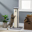 PawHut Poste Rascador para Gatos Altura 81 cm Rascador para Gatos Arañador para Gatos con Poste de Sisal y Bola Colgante 41x41x81 cm Gris, , large indicador imagen numero 2