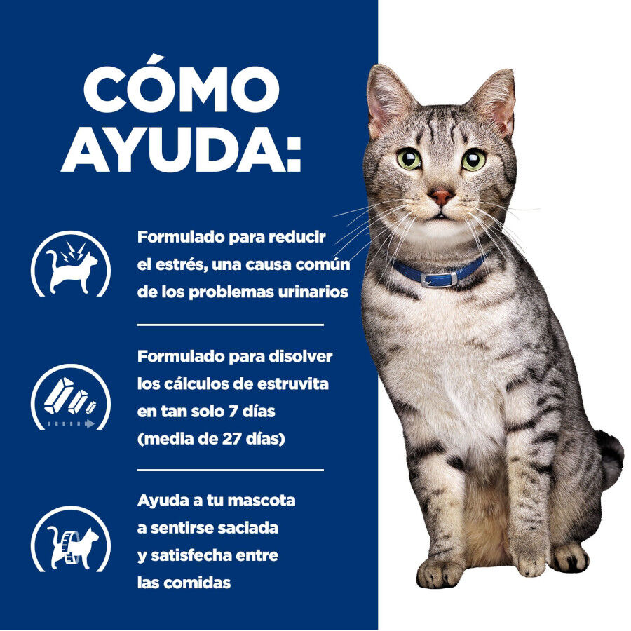 8 kg Hill's Prescription Diet Urinary Stress + Metabolic c/d pienso para gatos, , large Imagen numero 4