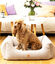 Pet and Co Cama Kingston Básica Gris para Perros, , large indicador imagen numero 3