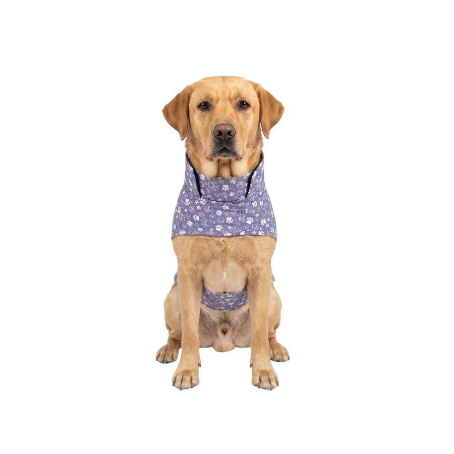 Gotoo Impermeable Estampado Huellas para perros, , large Imagen numero 7