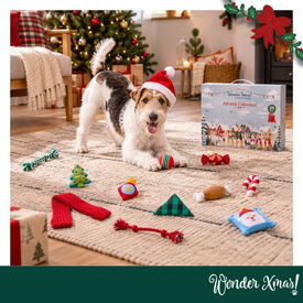 Wonder Christmas Calendario Adviento Juguete para perros