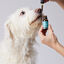 Petidibidiol aceite para perros grandes 1000 mg, , large indicador imagen numero 4