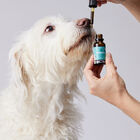 Petidibidiol aceite para perros grandes 1000 mg, , large image number null