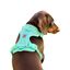 Arnés Adventure Mint – Arnés antitirones para perros, cómodo y ajustable, , large indicador imagen numero 1