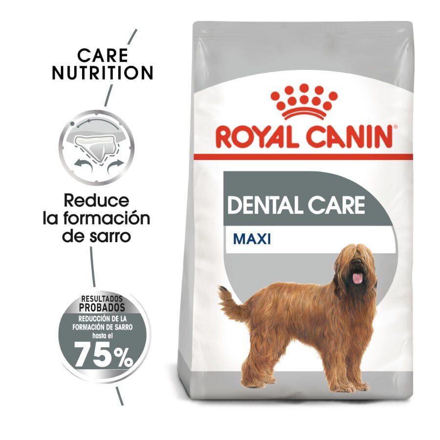 Royal Canin Dental Care Maxi pienso para perros thumbnail