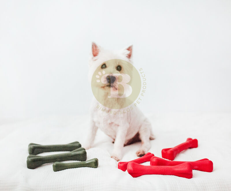 BIMORDISCOS PACK Juguete Indestructible para Perros + Cuerno de B&uacute;falo para Perros, , large Imagen numero 3