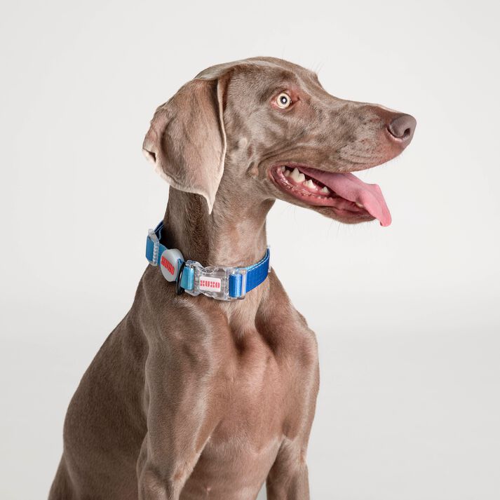 Collar NEON PARTY MIDNIGHT, , large Imagen numero 2