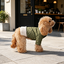 Gotoo Abrigo Acolchado Verde para perros, , large indicador imagen numero 1