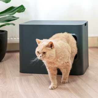 Caja de arena para gatos color Gris