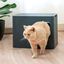 Caja de arena para gatos color Gris, , large indicador imagen numero 1