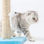 Nobleza – Poste rascador para Gatos de sisal con Juguete, , large indicador imagen numero 2