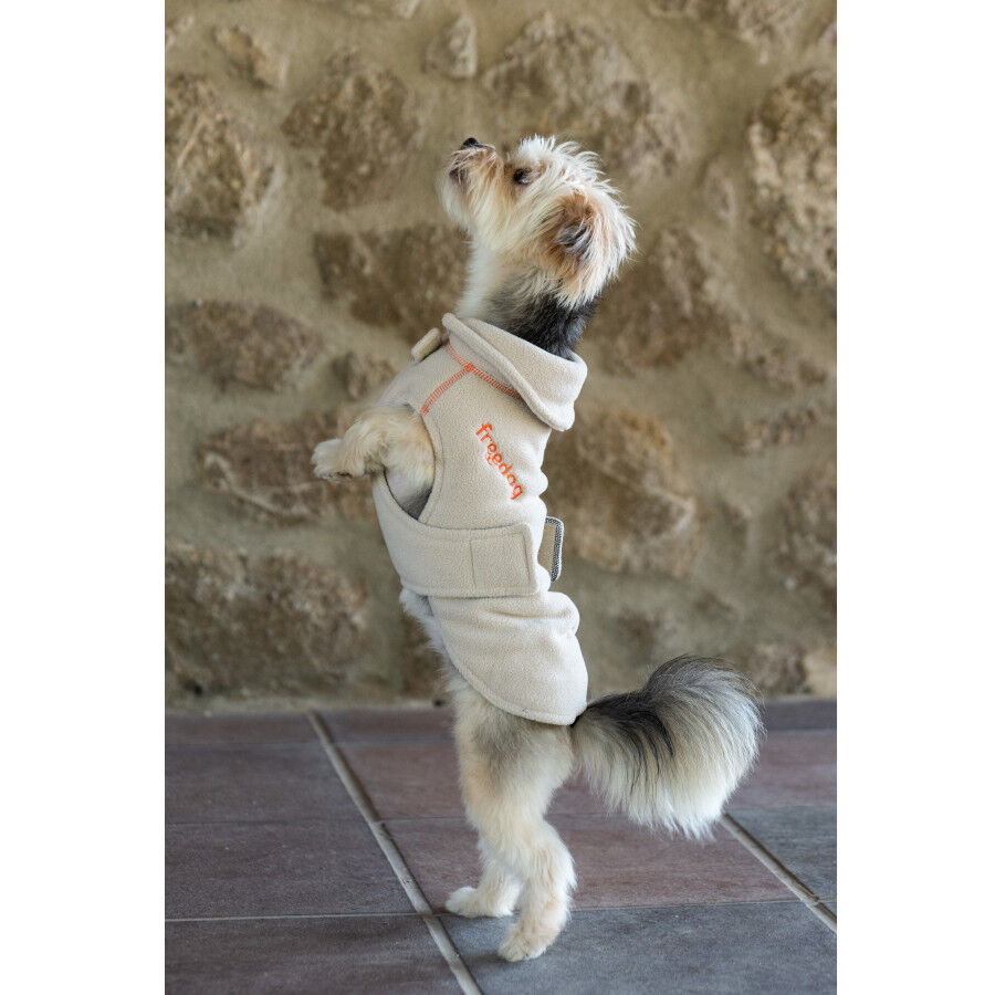 Freedog Polar Snowpuff Beige para perros, , large Imagen numero 3