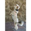 Freedog Polar Snowpuff Beige para perros, , large indicador imagen numero 3