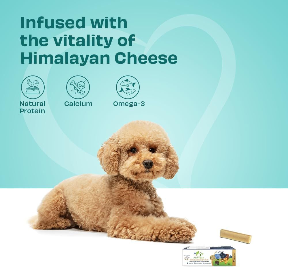 Pawfect Masticables dentales de queso del Himalaya para perros thumbnail