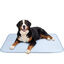 Nobleza Alfombra Refrescante para Perros y Gatos con Tecnolog&iacute;a QMAX>0.5 &ndash; Tejido &ldquo;Bumpy&rdquo; de Secado R&aacute;pido, Antimordedura, Lavable a M&aacute;quina &ndash; 110x70cm &ndash; Azul, , large indicador imagen numero 1