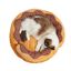 FOFOS | Cama Donut - Para Perro o Gato, , large indicador imagen numero 2