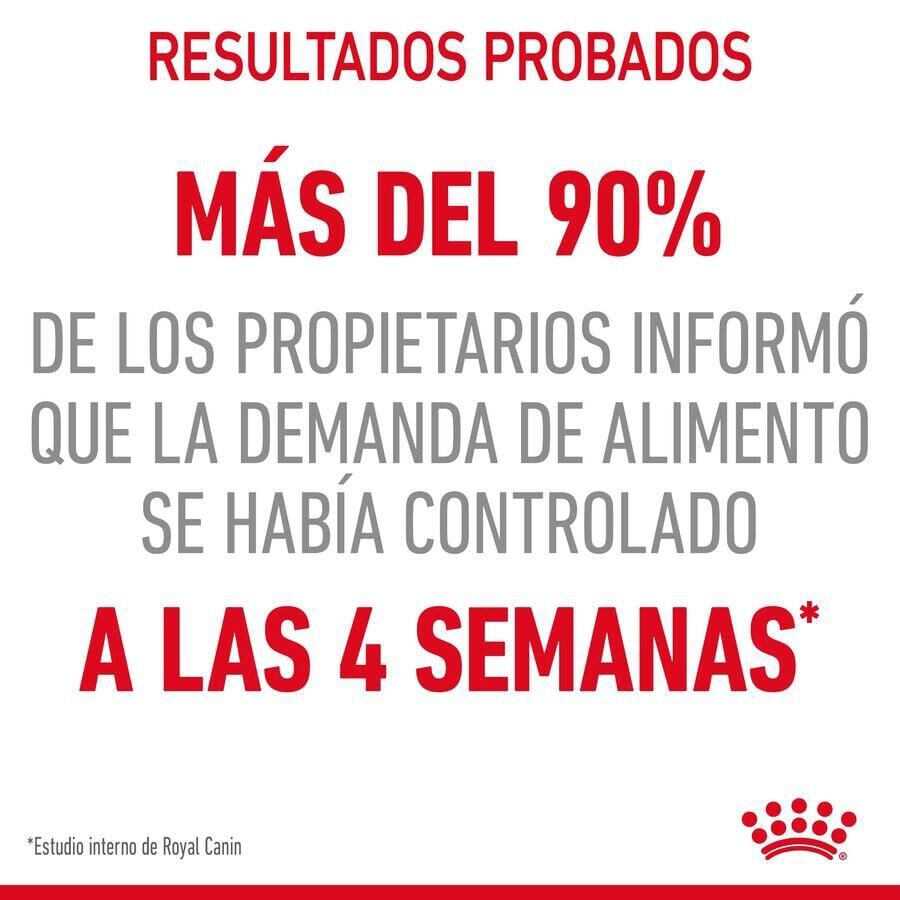 Royal Canin Nutrition Appetite Control Care gelatina para gatos thumbnail