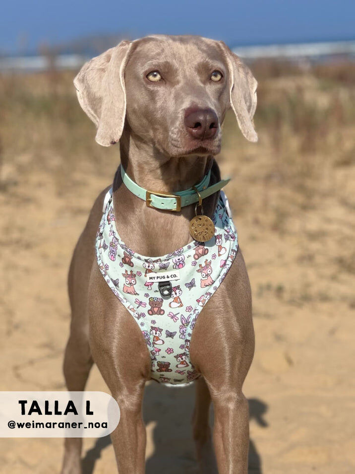 Arn&eacute;s Ajustable Lovely Forest, , large Imagen numero 3