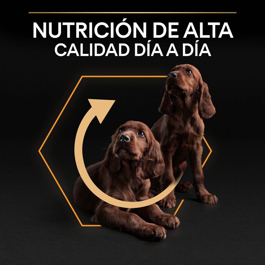 Pro Plan Adult Small y Mini Pollo pienso para perros thumbnail