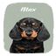Mascochula max retrato realista personalizado en lámina con tu mascota verde oliva, , large indicador imagen numero 2