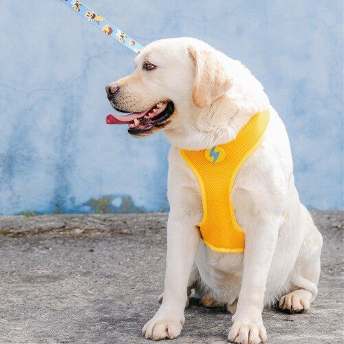 Correa Honeybee para perros, , large Imagen numero 3