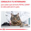 12 sobres x 85 g Royal Canin Mature Consult Balance Paté sobre para gatos, , large indicador imagen numero 8