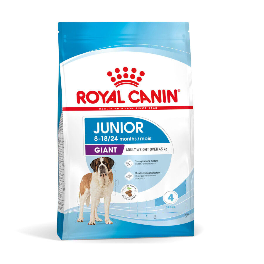 Royal Canin Junior Giant pienso para perros thumbnail