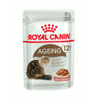 Royal Canin Senior +12 sobre en salsa para gatos, , large image number null