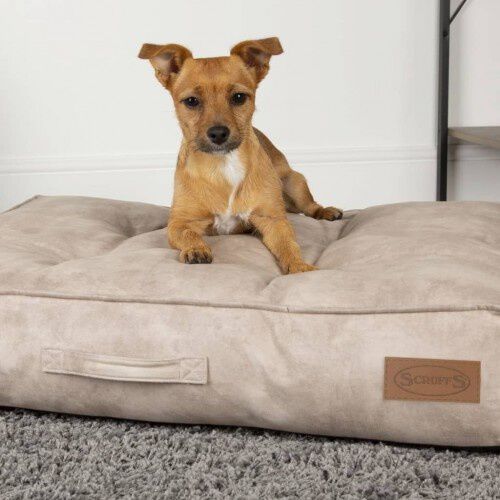 Cama para perros color Crema, , large Imagen numero 9