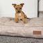 Cama para perros color Crema, , large indicador imagen numero 9