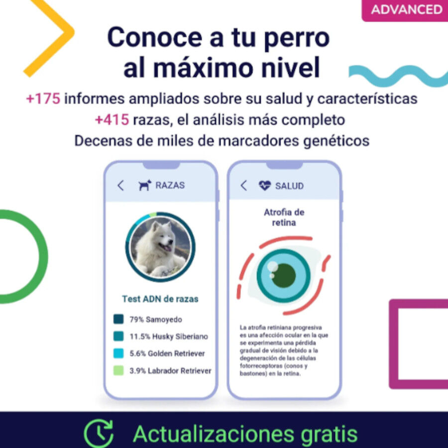 Koko Genetics Prueba de ADN Advanced para perros, , large Imagen numero 2
