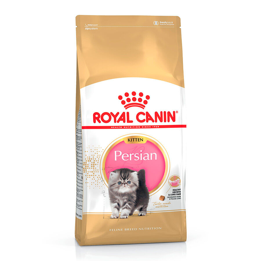Royal Canin Kitten Persia pienso para gatos