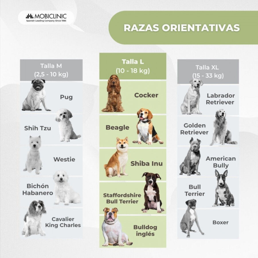 Chaleco salvavidas Mobiclinic para perros Arn&eacute;s ajustable Anilla para correa Asa ligera Aleta decorativa Sharky L, , large Imagen numero 3