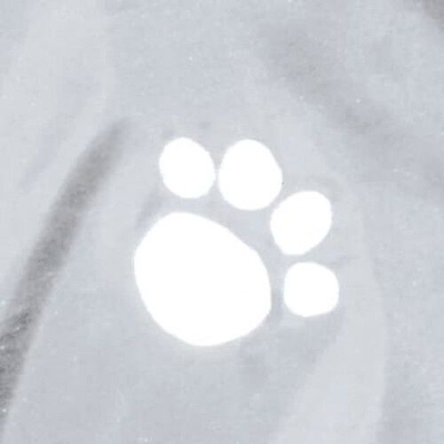 Impermeable Tarbes para perros color Transparente, , large Imagen numero 4