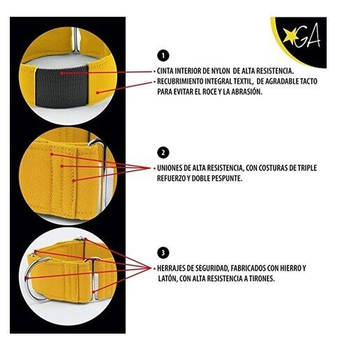 Galguita amelie martingale disco dance collar multicolor para galgos, , large Imagen numero 2