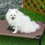 PawHut cama elevada marrón para perros, , large indicador imagen numero 6