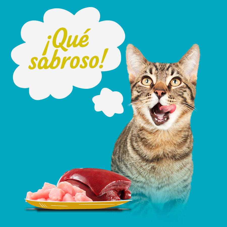 Start Multipack de Carne en Salsa para Gatos thumbnail