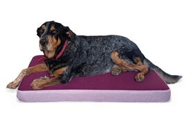 CAMA LULU ROSA Talla L