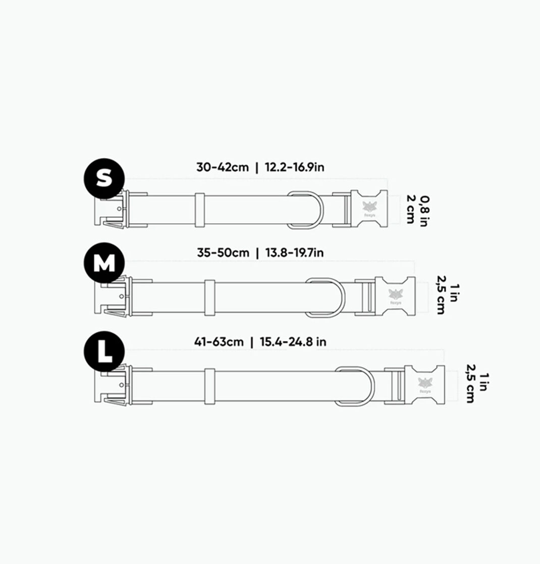 Foxys CityFox Kit Collar y Correa Aqua para perros thumbnail