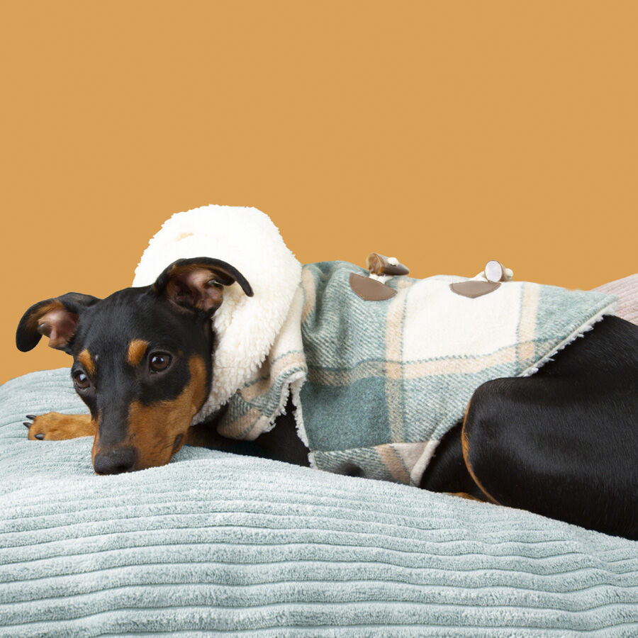 Outech Trenca Azul para perros, , large Imagen numero 3