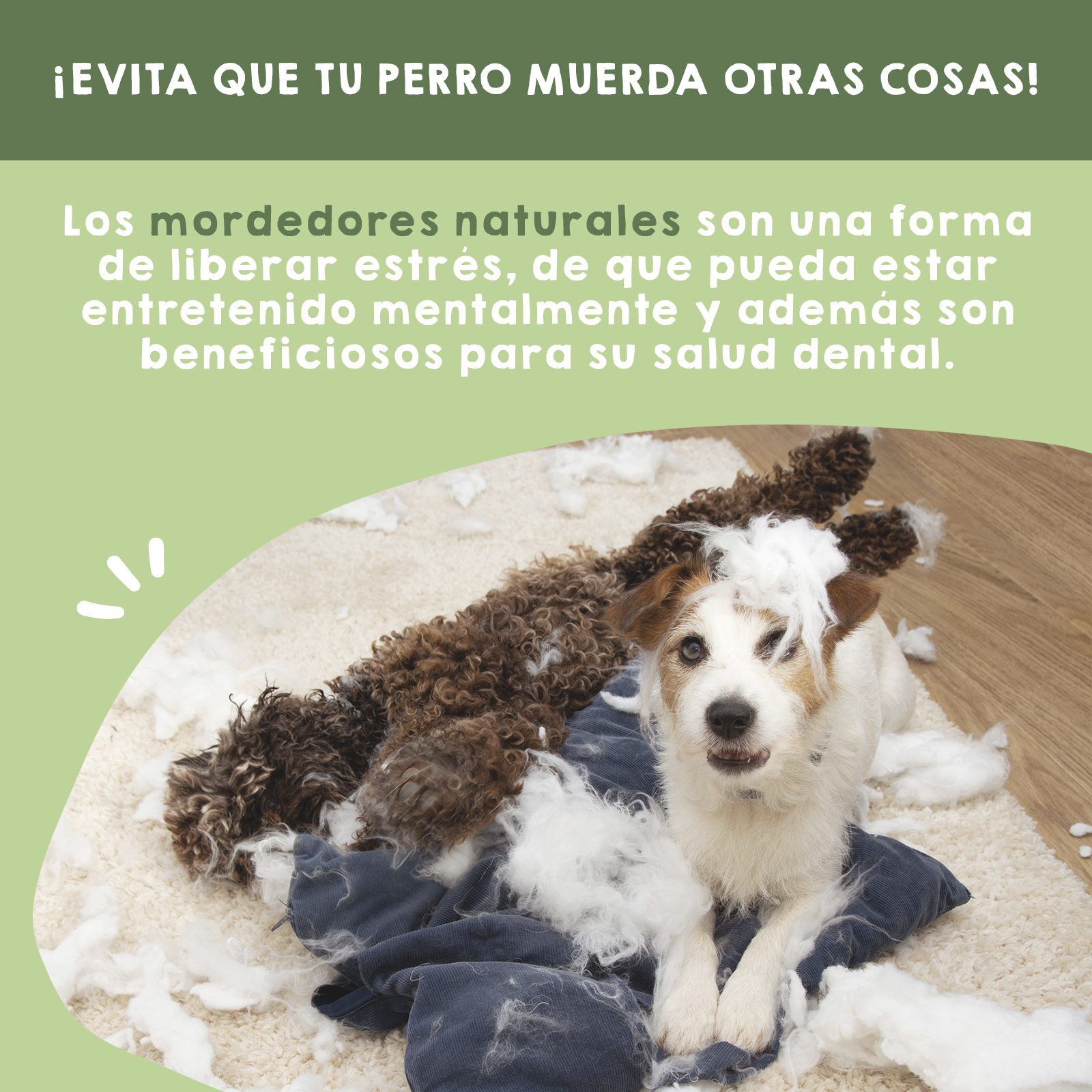 MAIKAI Hueso para Perros Queso del Himalaya Pack de 2 - Mordedor Natural para Perros thumbnail