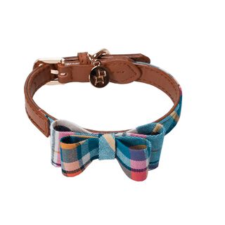 House Of Pets Cuello Hortelã para perros