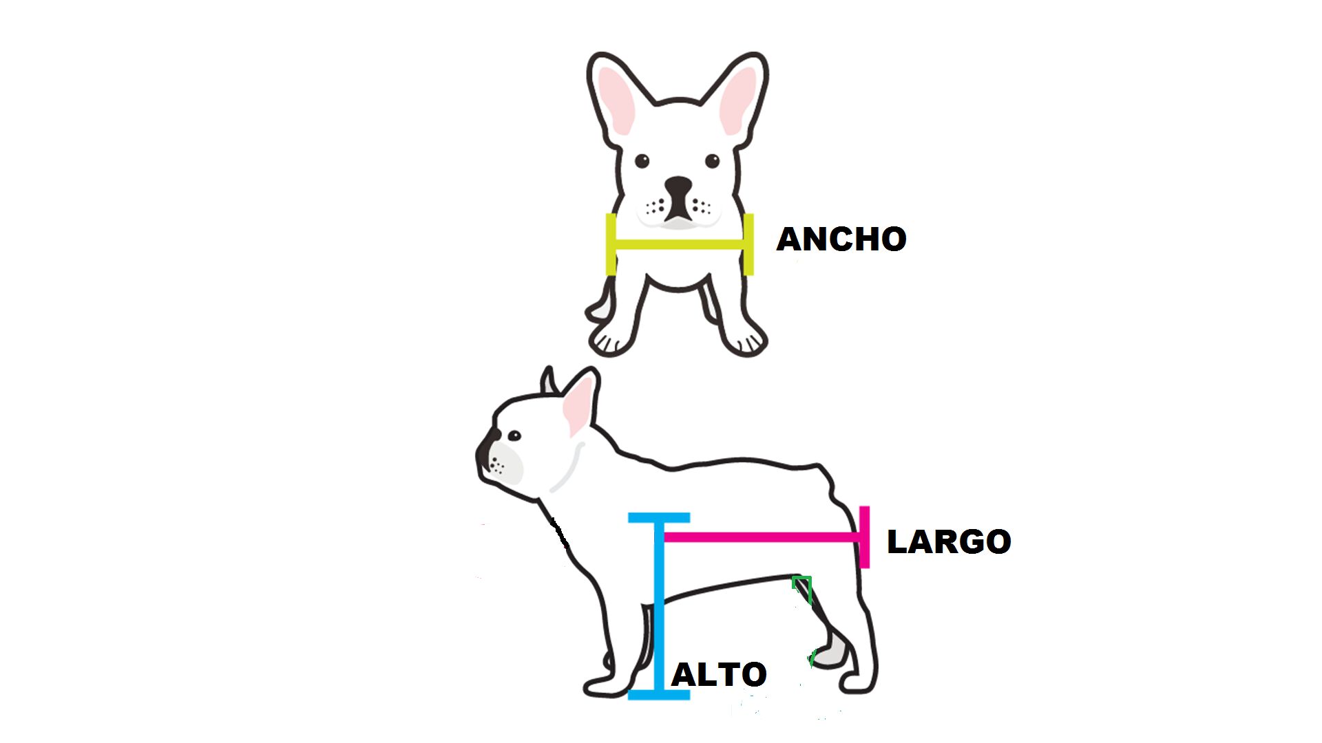 SILLA DE RUEDAS PARA PERROS TALLA MEDIANA, , large Imagen numero 9