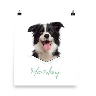 Mascochula retrato realista personalizado en digital con tu mascota 