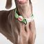 Collar NEON PARTY TROPICAL, , large indicador imagen numero 4