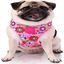 Zooz arn&eacute;s snoopy rosa para perros, , large indicador imagen numero 1